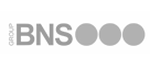  BNS Group